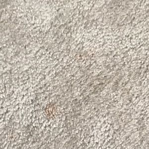 Meet your Posher, Nate